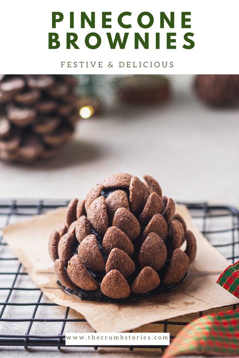 Made with brownie crumbs shaped into cones and decorated with crunchy Chocos cereal to mimic real pinecones. There Pinecone Brownies make a beautiful festive treat.  #recipe #brownies #chocolaterecipes #chocolate #pineconebrownies #pinecone #wholewheat Pinecone Cake Balls, Brownie Pinecones, Pinecone Brownies, Recipe Brownies, Vegetarian Brownies, Christmas Tree Brownies, Moist Brownies, Truffle Cookies, Breakfast Quiche