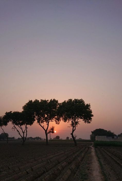 Sunset view by @iamosamach Farm Village Aesthetic, Village Snapchat Story, Village Night View, Village Snap, View Snapchat, Village Pic, Nature Edits, Sunset Village, Village Vibes