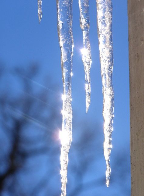 melting icicles… pretty, Fotografie van winter, ijs en natuur, ijskristallen en ijsbloemen, tuinieren, seizoenen, Winter Schnee, Cool Winter, I Love Winter, Winter Love, Winter Magic, Winter Beauty, Snow And Ice, Winter Wonder, Fire And Ice