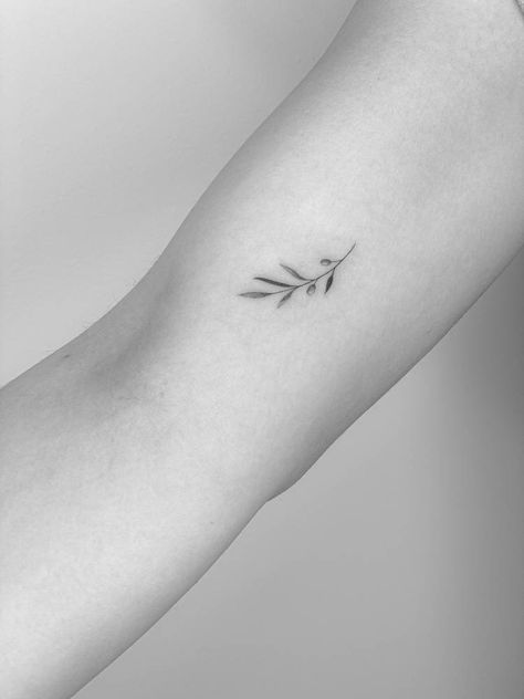 Olive Laurel Tattoo, Minimal Branch Tattoo, Mini Olive Branch Tattoo, Olive Name Tattoo, One Line Olive Branch Tattoo, Small Olive Tree Tattoo, Cross And Olive Branch Tattoo, Black And White Olive Branch Tattoo, Abide Olive Branch Tattoo