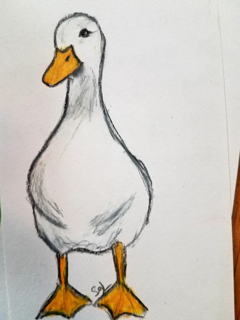 Fantasy Animals Drawing Easy, Desene Simple Cute, Goofy Drawing Easy, Duck Drawing Sketches, Duck Drawing Easy, Auntie Quotes, Winter Drawings, Easy Animal Drawings, Cool Pencil Drawings