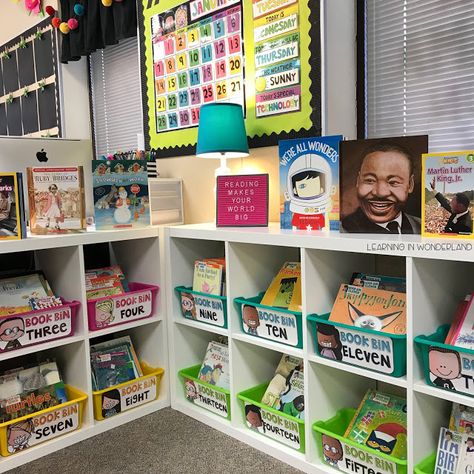 Class Library Organization, Science Of Reading Classroom, Kindergarten Classroom Library, Literacy Organization, Kindergarten Library, Classroom Library Organization, Book Bins, Class Library, Library Organization