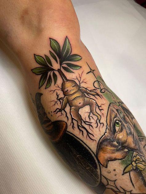 Gryffindor Lion Tattoo, Neotraditional Harry Potter Tattoo, Mandrake Tattoo Harry Potter, Harry Potter Mandrake Tattoo, Neo Traditional Plant Tattoo, Harry Potter Tattoos Color, American Traditional Harry Potter Tattoo, Harry Potter Patchwork Tattoo, Harry Potter Leg Tattoos