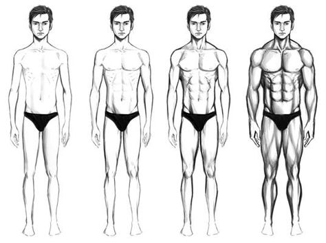 A man's body. With different muscle mass Female Action Poses, Ectomorph Workout, Post Workout Shake, Body Combat, Workout Shakes, Workout Protein, Body Types Women, Body Sketches, Body Hacks