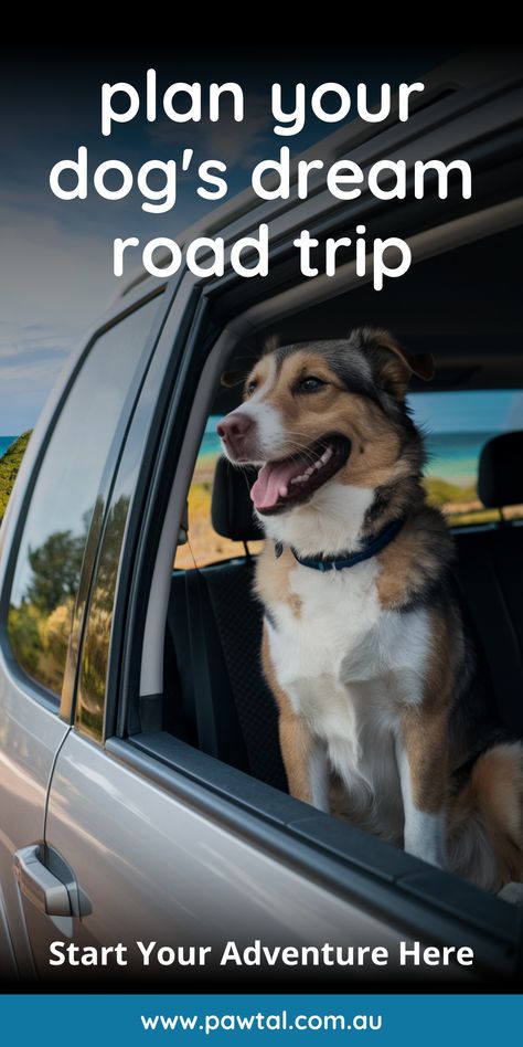 Plan Your Dog's Dream Road Trip Road Trip With Dog, Planning A Road Trip, Perfect Road Trip, Travel Words, Safe Journey, Pet Dogs Puppies, Food And Nutrition, Road Trip Planning, Packing Lists