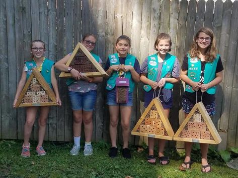 Junior Bronze Award Ideas Projects, Bronze Award Ideas, Silver Award Ideas Cadette, Bronze Award Ideas Junior, Girl Scout Silver Award Ideas, Girl Scout Award Presentation Ideas, Girl Scout Bronze Award Ideas, Girl Scout Junior Bridging Ceremony, Girl Scout Brownie First Meeting Ideas