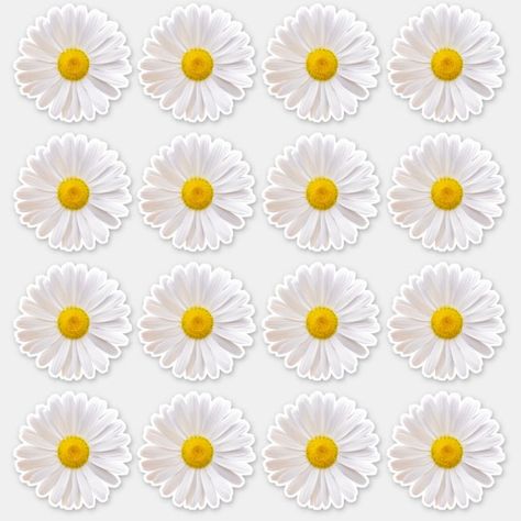 16 Shasta Daisy Flower Kiss-Cut Stickers #affiliate , #ad, #Flower#Kiss#Cut#Daisy Daisy Flower Printable, Cute Locker Decorations, Daisy Flower Sticker, Daisy Decorations, Shasta Daisy, Vintage Paper Printable, Daisy Party, Locker Decorations, Flower Stickers