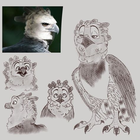 A Mess on Instagram: “Harpy Eagle practice  #expression #eagles #harpyeagle #drawing #sketch #practice #art #artistsoninstagram #birds” Harpy Eagle Character Design, Harpy Eagle Art, Harpy Eagle Wings, Harpy Eagle Drawing, Eagle Character Design, Bird Expressions, Harpy Bird, Eagle Sketch, Weird Birds