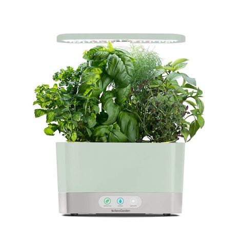 How To Trim Basil, Mobile Gardening, Traveling Garden, Hydroponic Gardening System, Rv Inspiration, Growing Basil, Seed Kit, Plant Nutrients, Smart Garden