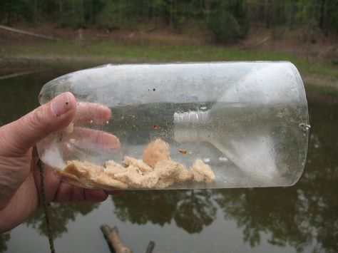 Soda bottle minnow trap--------made these as a kid and caught my own bait fish! a little bit of crusty bread or crackers, and bingo, you have bait!!! Minnow Trap, Fly Fishing Tattoo, Survival Fishing, Fly Fishing Flies Trout, Fishing Kit, Fishing Techniques, Survival Food, Wilderness Survival, Survival Tools