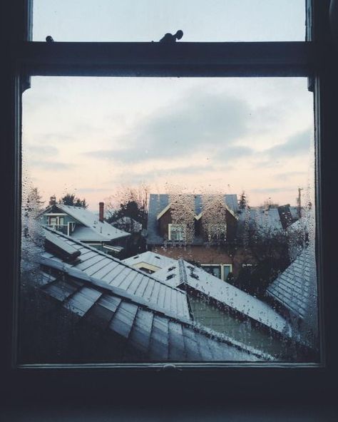 Milan Kundera, Crisp Morning, Photographie Portrait Inspiration, Morning Sky, Window View, Through The Window, The Roof, Rainy Days, The View