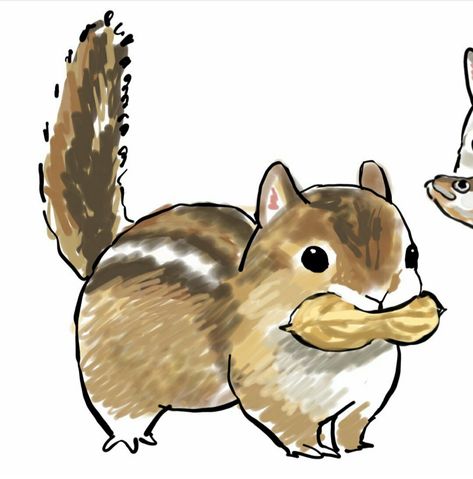 Kawaii Squirrel Drawing, Cute Squrriel Drawing, Squrriel Draw, Grumpy Animal Drawing, Squirrel Cute Art, Chipmunk Drawing Cute, Squirrel Cute Illustration, Squirrel Painting Easy, Cute Forest Animals Drawing