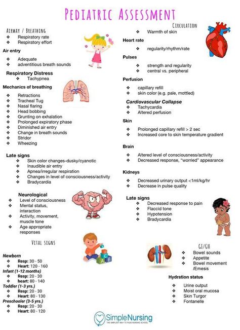 Pediatric Assessment #medicalschool #resources #medicalstudent - Image Credits: StuDocu Pediatrician Aesthetic Notes, Pediatric Home Health Nurse, Pediatric Nurse Practitioner Study, Pediatrician Notes, Pediatric Echocardiography, Pediatric Medical Assistant, Pediatric Cardiologist, Pediatric Assessment, Pediatric Milestones