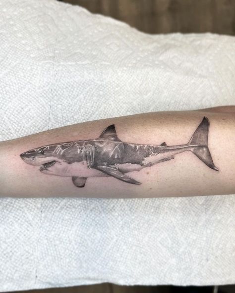 great white shark tattoo • Instagram Dante Tattoo, White Shark Tattoo, Great White Shark Tattoo, Shark Tattoo, Tattoo Instagram, Shark Tattoos, White Sharks, Great White Shark, Great White