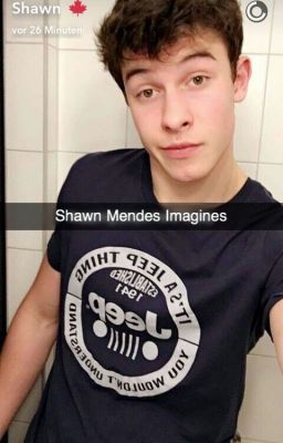 Shawn Mendes Snapchat, Shawn Mendes Gif, Shawn Mendes Magcon, Shawn Mendes Shirtless, Shawn Mendes Merch, Shawn Mendes Tour, Shawn Mendes Quotes, Shawn Mendes Lyrics, Shawn Mendes Concert