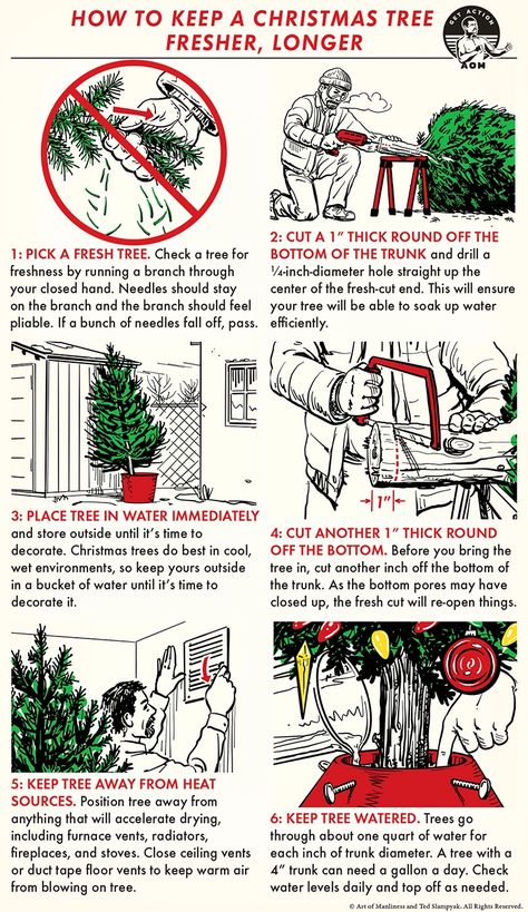 How to Keep Your Christmas Tree Fresher, Longer | The Art of Manliness Christmas Tree Care, Christmas Clipart Free, Christmas Tree Decorating Ideas, Tree Decorating Ideas, Christmas Tree Lots, Live Christmas Trees, Manly Stuff, Christmas Tree Decorating, Plastic Christmas Tree