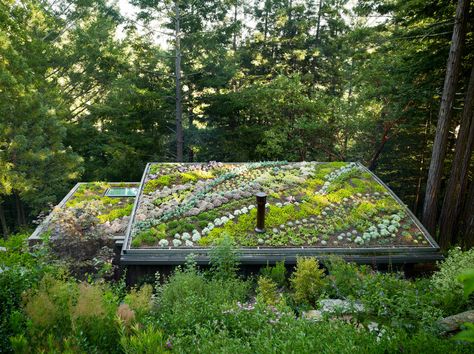 A succulent rooftop garden is about as dreamy as you can get.   #succulents… Cottages In The Woods, Green Roof House, Contemporary Garage, Green Roof System, Living Roofs, Plants Growing, Rooftop Garden, Roof Garden, Green Roof