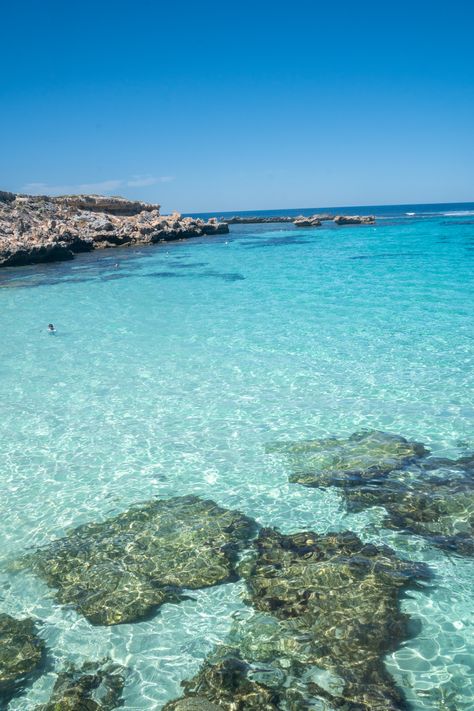 Rottnest Island Australia, Rottnest Island Aesthetic, Rotness Island, Perth Australia Aesthetic, Perth Aesthetic, Best Places To Snorkel, Australia Lifestyle, Beaches Australia, Things To Do In Perth