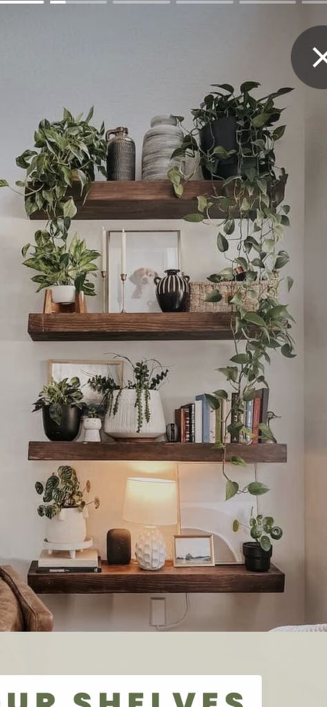 Minimalist Decor With Plants, Dinning Room Wall Shelf Decor, Shelf Organization Ideas Living Room, Picture Plant Wall, Greenery Shelf Decor, Boho Shelving Decor, Indoor Plants Shelves Display, Plant Wall Ideas Indoor Farmhouse, Plants On Bookcase