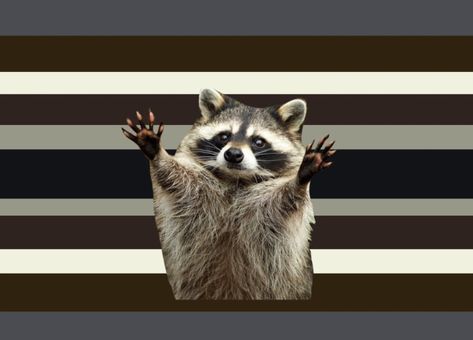 Raccoon Gender, Xeno Flags, Xeno Genders, Xeno Hoard, Gender Flags, Gotta Catch Them All, Lgbtq Flags, Racoon, Catch Em All