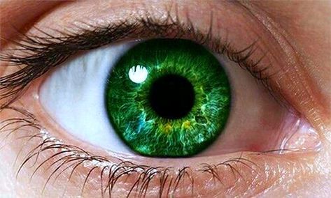 Sarah Darling, Glowing Green Eyes, Dark Green Eyes, Beautiful Eyes Color, Emerald Eyes, Ghost Story, Most Beautiful Eyes, Eye Photography, Aesthetic Eyes