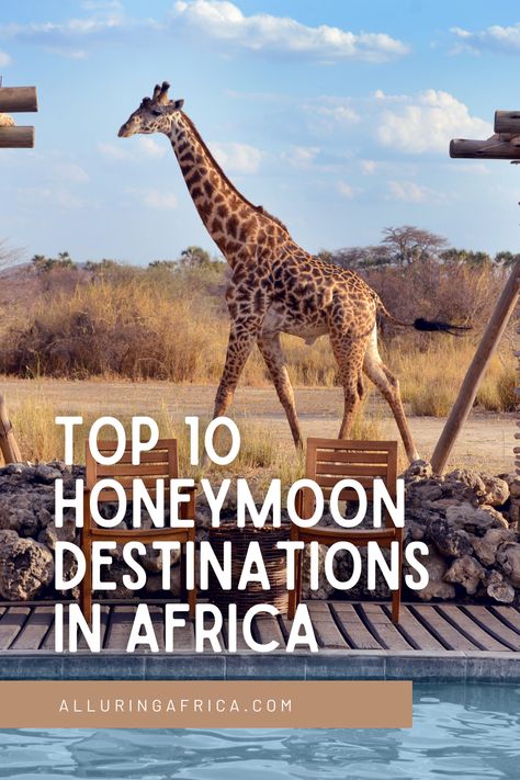 safari honeymoon, romantic getaways, african honeymoon, honeymoon ideas, romantic safari ideas Honeymoon In Africa, African Honeymoon, Places To Honeymoon, South Africa Honeymoon, Romantic Trips, Africa Honeymoon, Top Honeymoon Destinations, Africa Adventure, Honeymoon Places