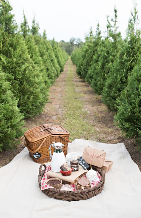 I'm ready for a visit to a Christmas tree farm, aren't you? Pin to instantly get into the Christmas spirit. #LLarchives #holidays #Christmas #Christmastree #Christmasspirit #treefarm #family Christmas Picnic, Christmas Tree Farm Pictures, Tree Farm Pictures, Tree Farm Photo Shoot, Christmas Tree Farm Photo Shoot, Christmas Tree Farm Photos, Christmas Tree Photography, Christmas Photo Shoot, Picnic Photoshoot