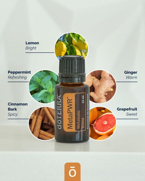 The MetaPWR Metabolic Blend is comprised of these five powerful essential oils! This proprietary balanced ratio of CPTG® Grapefruit, Lemon, Peppermint, Ginger, and Cinnamon Bark essential oils is one of our most beloved essential oil blends. Cinnamon Bark Essential Oil, Doterra Oil, Doterra Business, Doterra Essential Oils Recipes, What Are Essential Oils, Essential Oils Herbs, Essential Oils Health, Personal Wellness, Cinnamon Bark