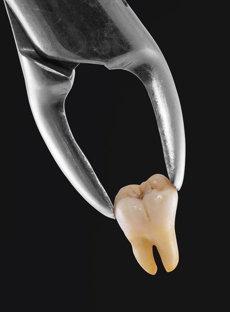 History of Dentistry - Learn about ancient dental implants and Elizabethan tooth-blackening techniques! Dental Pictures, Dental Wallpaper, Dental Advertising, Dental Images, Dental Posts, Dental Posters, Dental Aesthetics, Dental Photography, Dentistry Student