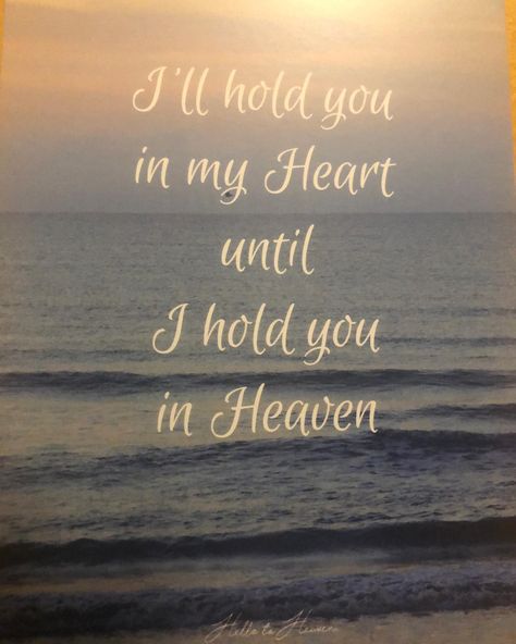 Hello To Heaven - I’ll hold you in my Heart until I hold... | Facebook Why Did You Have To Go To Heaven Quotes, A Piece Of My Heart Lives In Heaven, Missing You In Heaven Quotes, Missing You In Heaven, Missing Someone In Heaven, Say Hello To Heaven, Angel Wings Art, Crockery Unit, Heaven Quotes