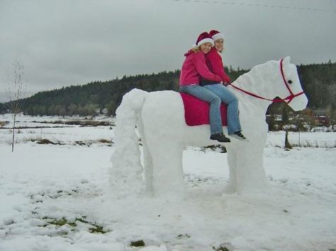 Fun in the Snow! Snow Activities, Snow Sculptures, Snow People, Snow Art, Snow Fun, Ice Snow, Funny Horse, Ice Sculptures, Hobby Horse