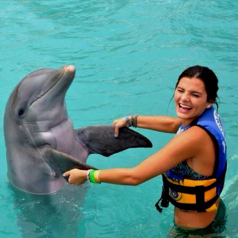 swimming with dolphins Pictures With Dolphins, Swimming With Dolphins Pictures, Swimming With Dolphins Aesthetic, Nature Animation, Dolphin Trainer, Dolphin Swimming, Xcaret Mexico, Swimming Drills, Swim With Dolphins