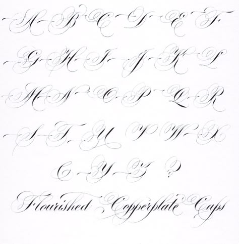 Hybrid Copperplate Script - Flourished Capitals Flourished Letters, Flourishing Calligraphy, Calligraphy Flourishes, Fancy Cursive, Calligraphy Letters Alphabet, Flourish Calligraphy, Calligraphy Worksheet, Digital Calligraphy, Cursive Calligraphy