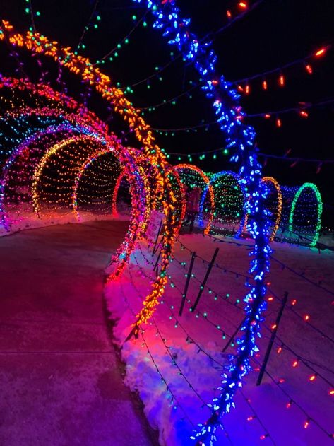 Christmas Aesthetic Colorful, Colourful Christmas Aesthetic, Rainbow Christmas Aesthetic, Neon Christmas Aesthetic, Christmas Decor Yard Decorations, Christmas Tree Ideas Natural, Hunter Green Christmas Decor, Outside Christmas Decor Yard Decorations, Colorful Christmas Aesthetic