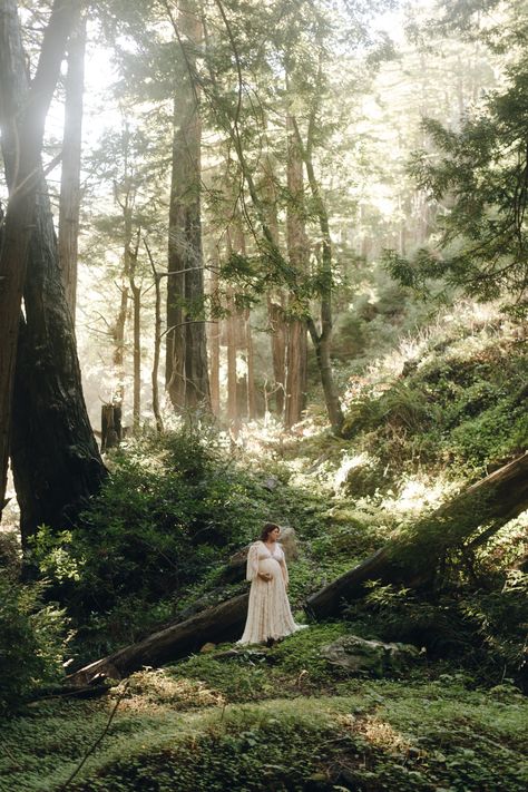 The redwood forests in Big Sur are ethereal and magical, and the most beautiful place to take your Maternity photos. The light that streams through the tall trees is so warm and calming. Contact me to help plan your Big Sur Maternity session! Big Sur Maternity, Redwood Maternity photos, Big Sur Maternity Photographer, Maternity session in Big Sur Moody Outdoor Maternity Photos, Redwoods Maternity Photos, Rainforest Maternity Shoot, Enchanted Forest Maternity Shoot, Forest Pregnancy Photoshoot, Redwoods Photoshoot, Earthy Maternity Photos, Ethereal Maternity Shoot, Forest Maternity Photoshoot