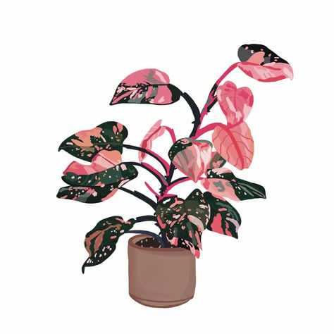 Digital drawing of a pink princess philodendron plant Philodendron Pink Princess Drawing, Pink Princess Philodendron Tattoo, Philodendron Drawing, Pathos Plant, Plant Tattoos, Pink Princess Philodendron, Princess Philodendron, Plant Doodle, Philodendron Plant