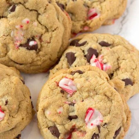 Chocolate Peppermint Cookies Recipe, Christmas Chocolate Chip Cookies, Peppermint Cookie Recipe, Peppermint Chocolate Chip Cookies, Chocolate Peppermint Cookies, Peppermint Chocolate, Christmas Easy, Cocoa Cookies, Christmas Foods