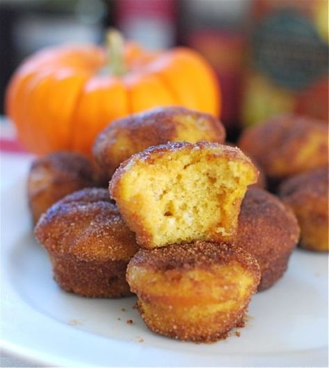 Baked Pumpkin Donut Holes Pumpkin Donut Holes, Pumpkin Donut, Pumpkin Doughnut, Doughnut Holes, Pumpkin Eater, Donut Holes, Everything Pumpkin, Pumpkin Everything, Fall Foods