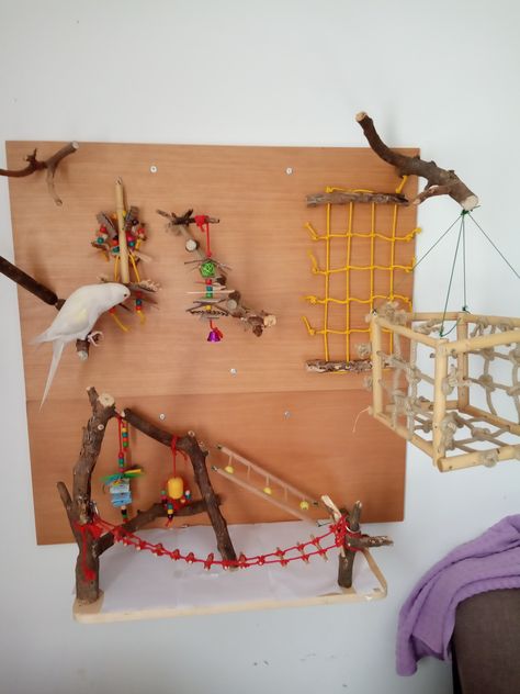 Parrot playground Bird Wall Playground, Bird Play Area, Conure Playground Diy, Parrot Room Ideas Pet Birds, Parakeet Playground Diy, Diy Budgie Playground, Cockatiel Playground Diy, Budgie Playground, Parrot Toys Diy