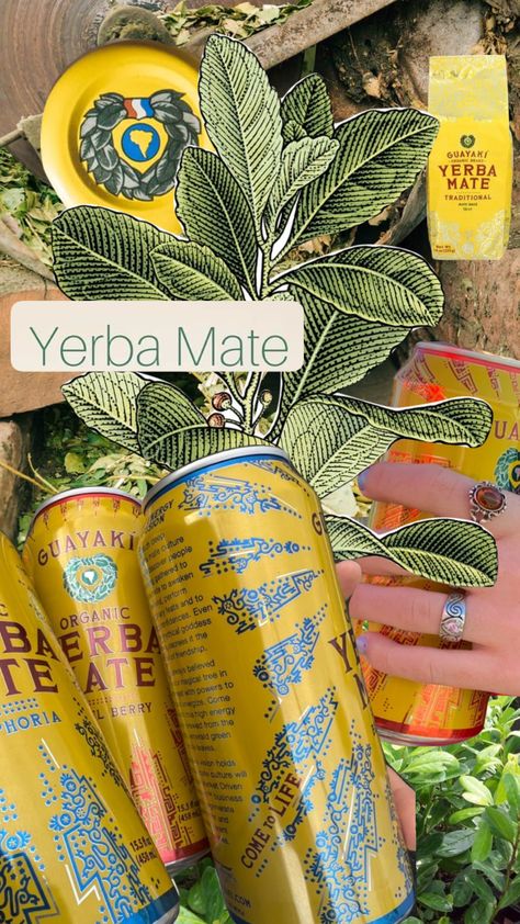 Guayaki Yerba Mate Yerba Mate Aesthetic, Mate Aesthetic, Guayaki Yerba Mate, Mate Drink, Magical Tree, Yerba Mate, Collage, Pins