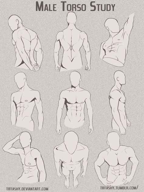 Male Torso/Chest Study by TIFFASHY on DeviantArt Male Chest Reference, Chest Reference, Torso Study, Male Chest, Anatomy Tutorial, Reference Art, Male Torso, Body Drawing Tutorial, Horse Artwork