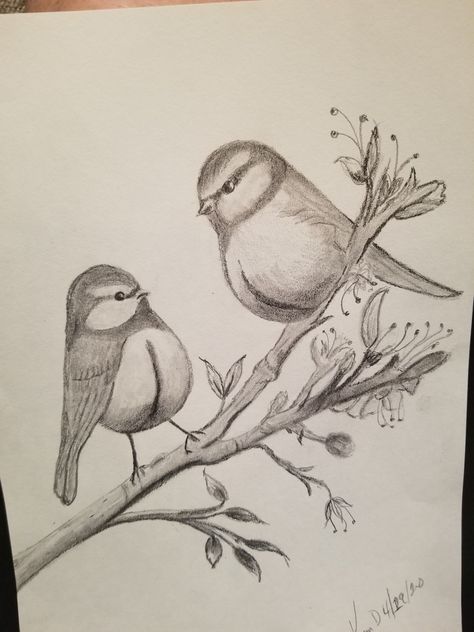 Bird Drawing Ideas, Mrtva Priroda Crtezi Olovkom, Bird On Tree Drawing, Spring Pencil Drawings, Spring Drawings Ideas Art Pencil, Spring Drawings Ideas Art Easy, Flora And Fauna Drawings, Birds On Tree Drawing, Bird Sketch Easy