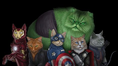 Avengers as Cats - Imgur Jenny Park, Meme Comics, Comic Book Superheroes, Art Kawaii, Super Cat, Ms Marvel, Warrior Cats, The Avengers, Crazy Cat Lady