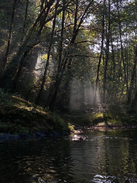 Forest Stream Aesthetic, Dark Oregon Aesthetic, Corvallis Oregon Aesthetic, Bridget Core, Janecore Aesthetic, Danielle Core, Forest With River, River In The Forest, Oregon Aesthetic