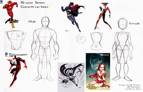 Bruce Timm construction Shane Glines, Genndy Tartakovsky, Draw Comics, Drawing Superheroes, Comic Book Art Style, Bruce Timm, Human Figure Drawing, Drawing Style, Comic Drawing