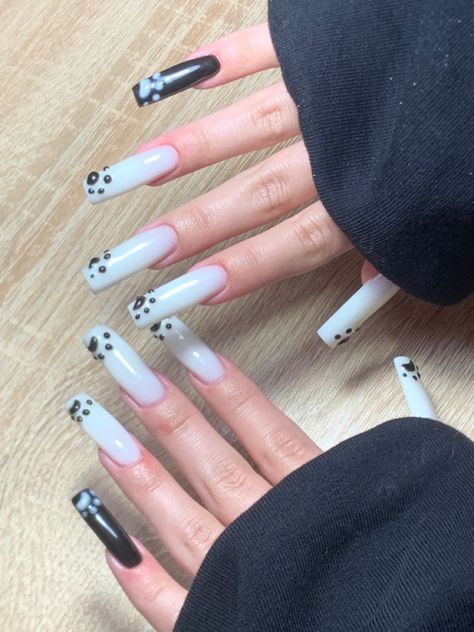 Cat Paw Nails, Paws Nails, Nails White Black, Paw Nails, Nails White, Cat Paw, Cat Paws, Black Nails, White Nails