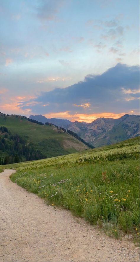 Utah Background, Utah Sunset, Utah Wallpaper, Alpine Loop, Mountain Background, Pretty Landscapes, Aesthetic Backgrounds, Summer Vibes, Utah