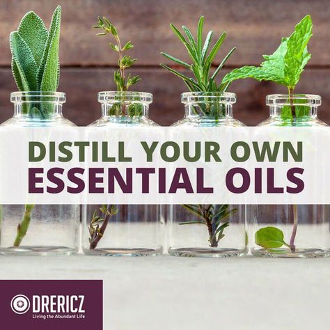 Essential Oils Tips And Techniques For Essential Oils Home Distillation #EssentialOilsHomeDistillation Make Essential Oils, Oil Distiller, Making Perfume, Kahlua Recipes, Essential Oil Distiller, Homemade Essential Oils, Bath Stuff, Garden Diy Ideas, Essential Oils For Pain