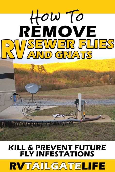 Are you being swarmed with sewer flies, gnats, or moths when you open your RV bathroom? RV waste tanks and sewer lines are ideal breeding grounds for sewer flies. While these drain flies may not be harmful, they are definitely pests that are unattractive. Get rid of and banish RV sewer flies from your RV black tank and gray tank forever! Kill and prevent future fly infestations in your RV! #RV #RVlife Drain Flies, Trailers Vintage, Fly Infestation, Rv Remodeling, Rv Decorating, Rv Traveling, Rv Inspiration, Van Rv, Camping Products