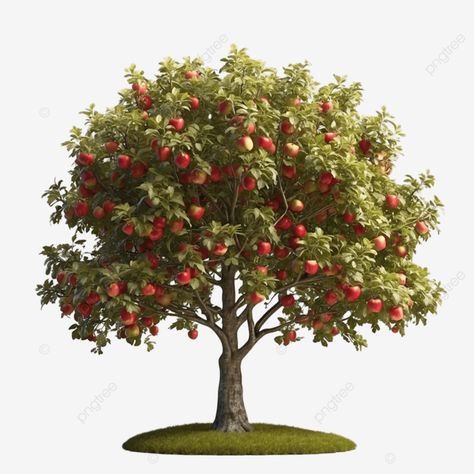 apple tree isolated on white background 3d rendering illustration apple tree isolated on white bac Apple Tree Illustration, Illustration Rendering, Free Cartoon Characters, Women Illustration, Agriculture Logo, Fruit Illustration, Free Cartoons, Transparent Image, Background 3d